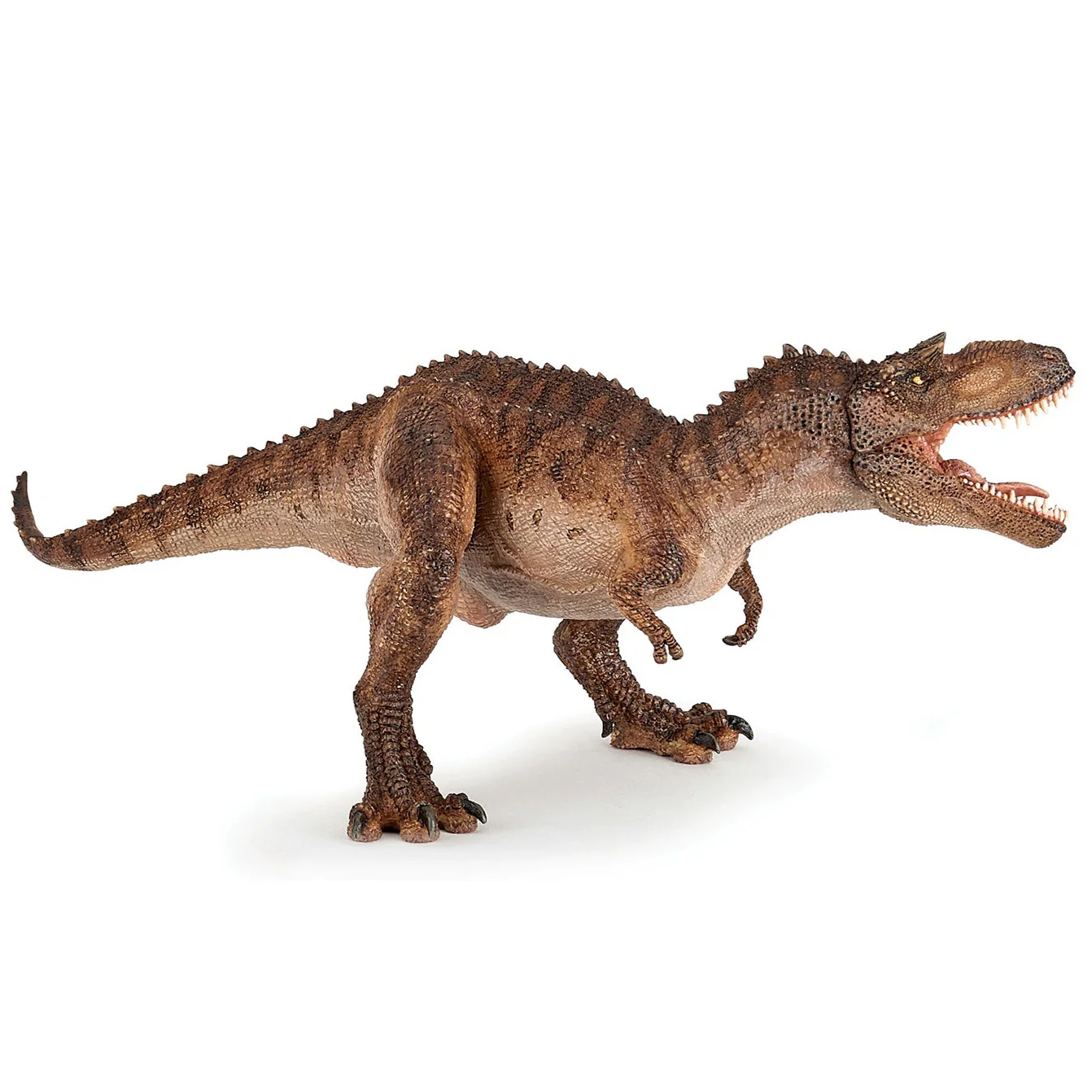 Miniatuur 1
