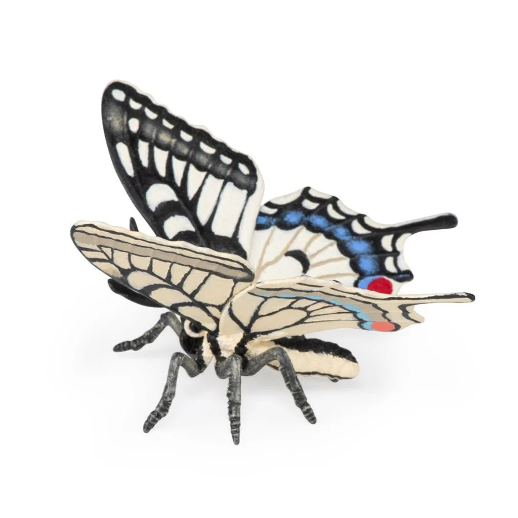 Miniatuur 1