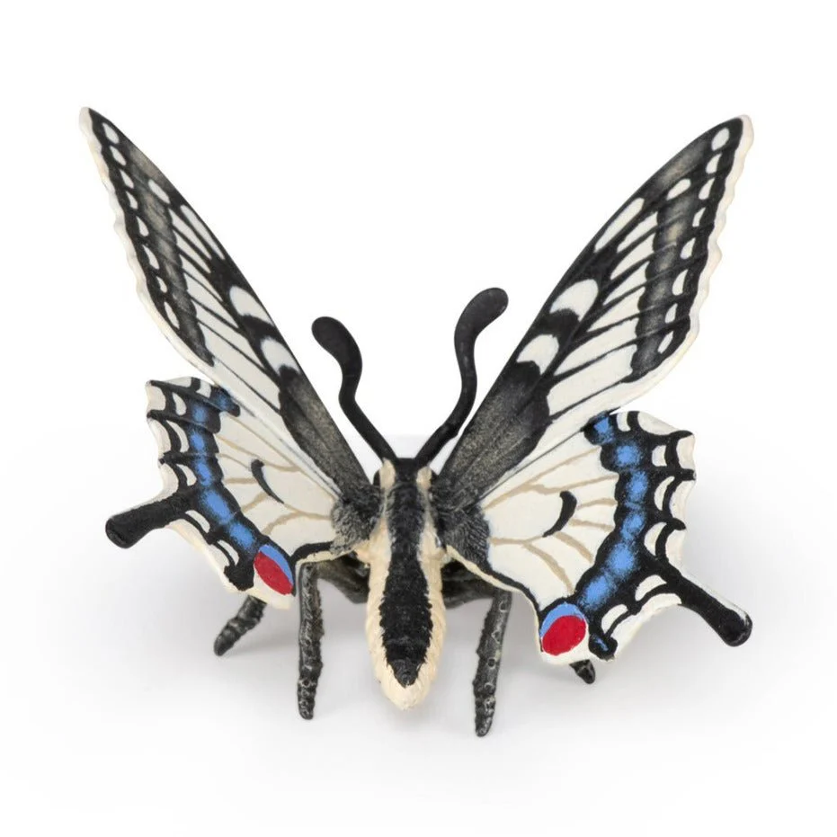 Miniatuur 2