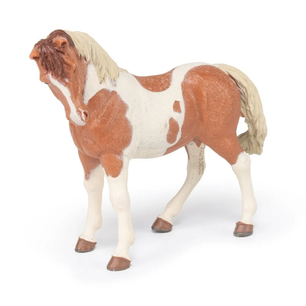 Miniatuur 2