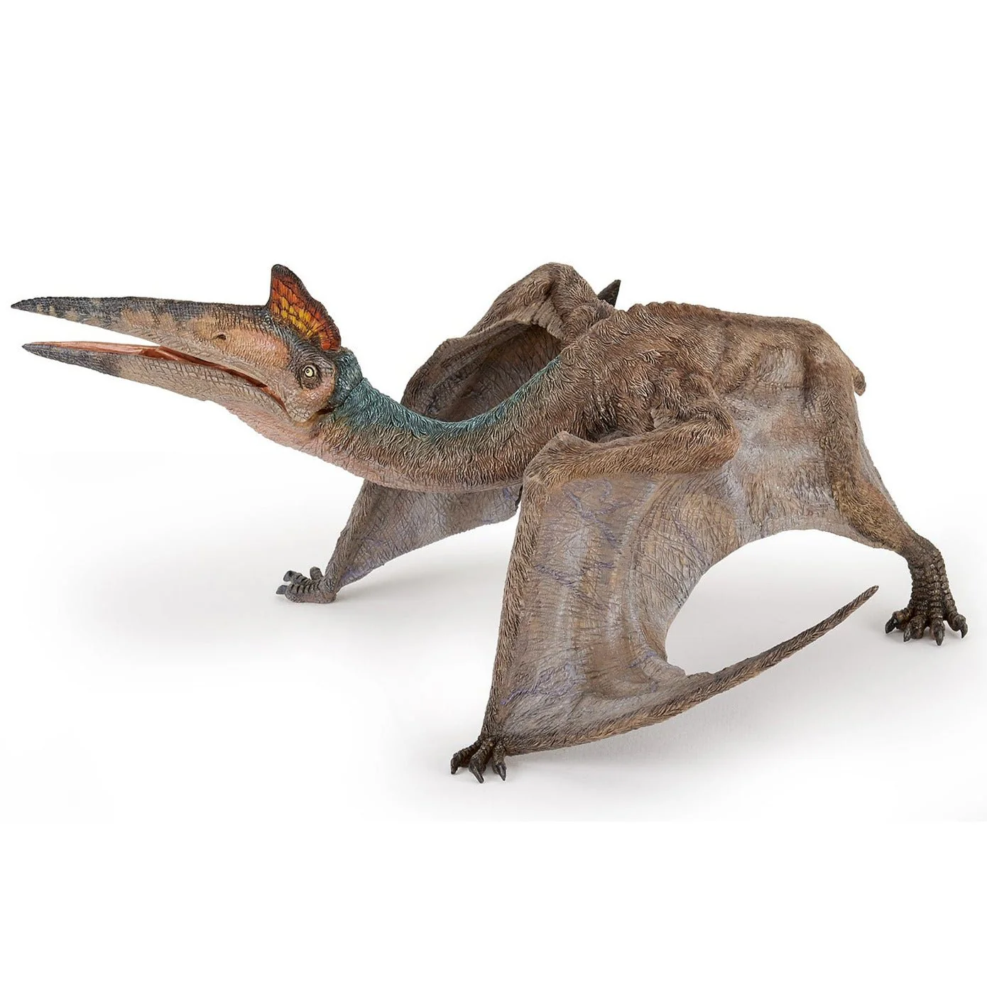 Miniatuur 1