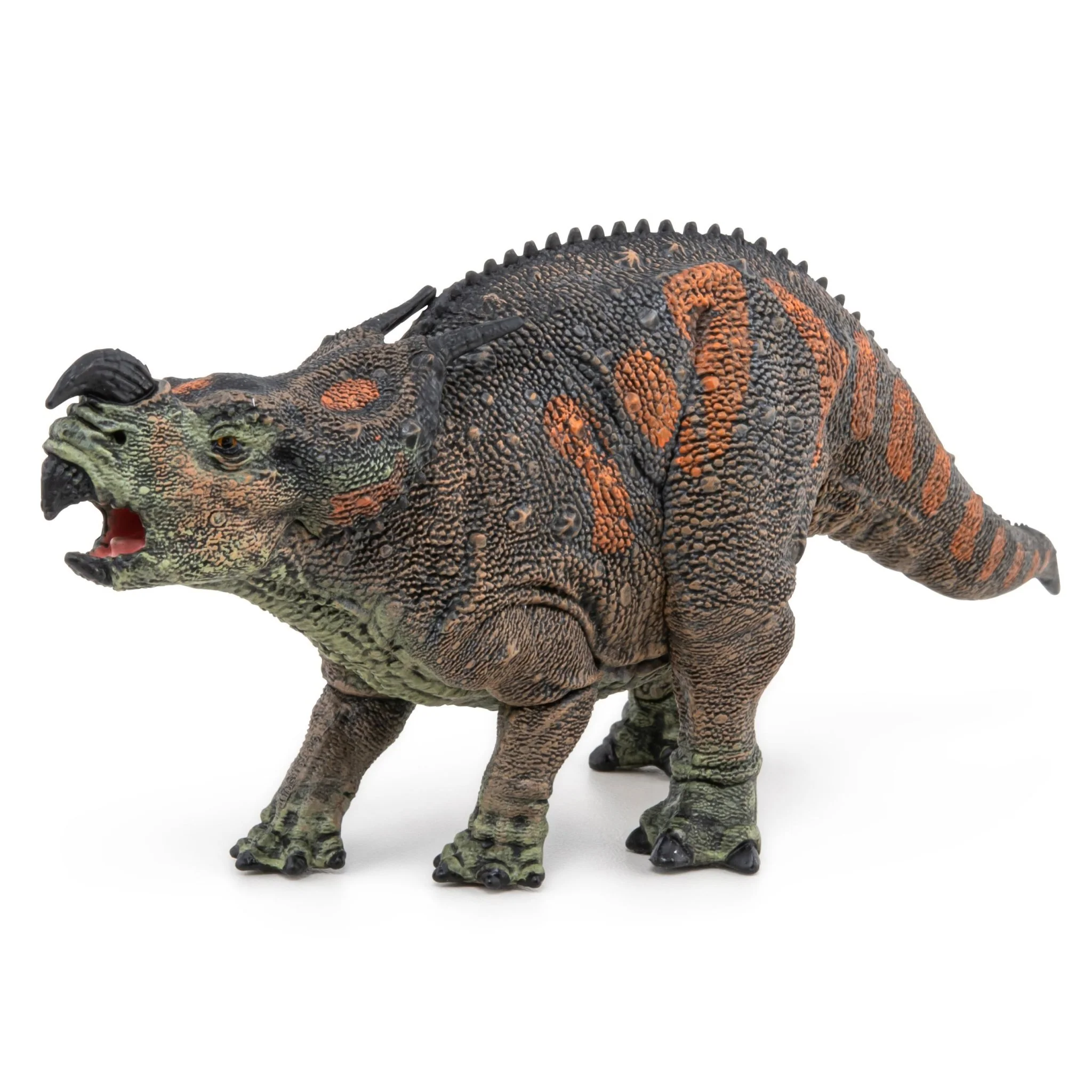 Miniatuur 1