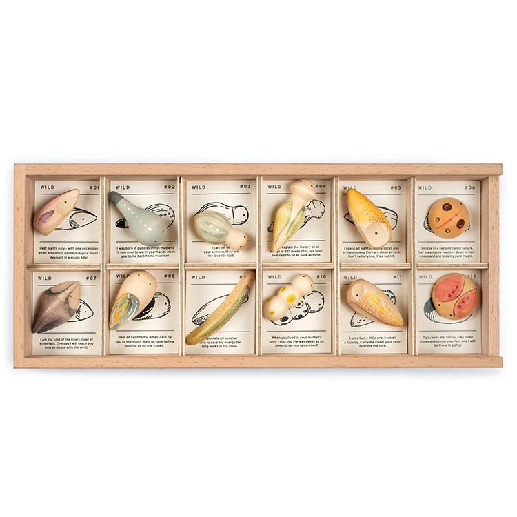 Miniatuur 1