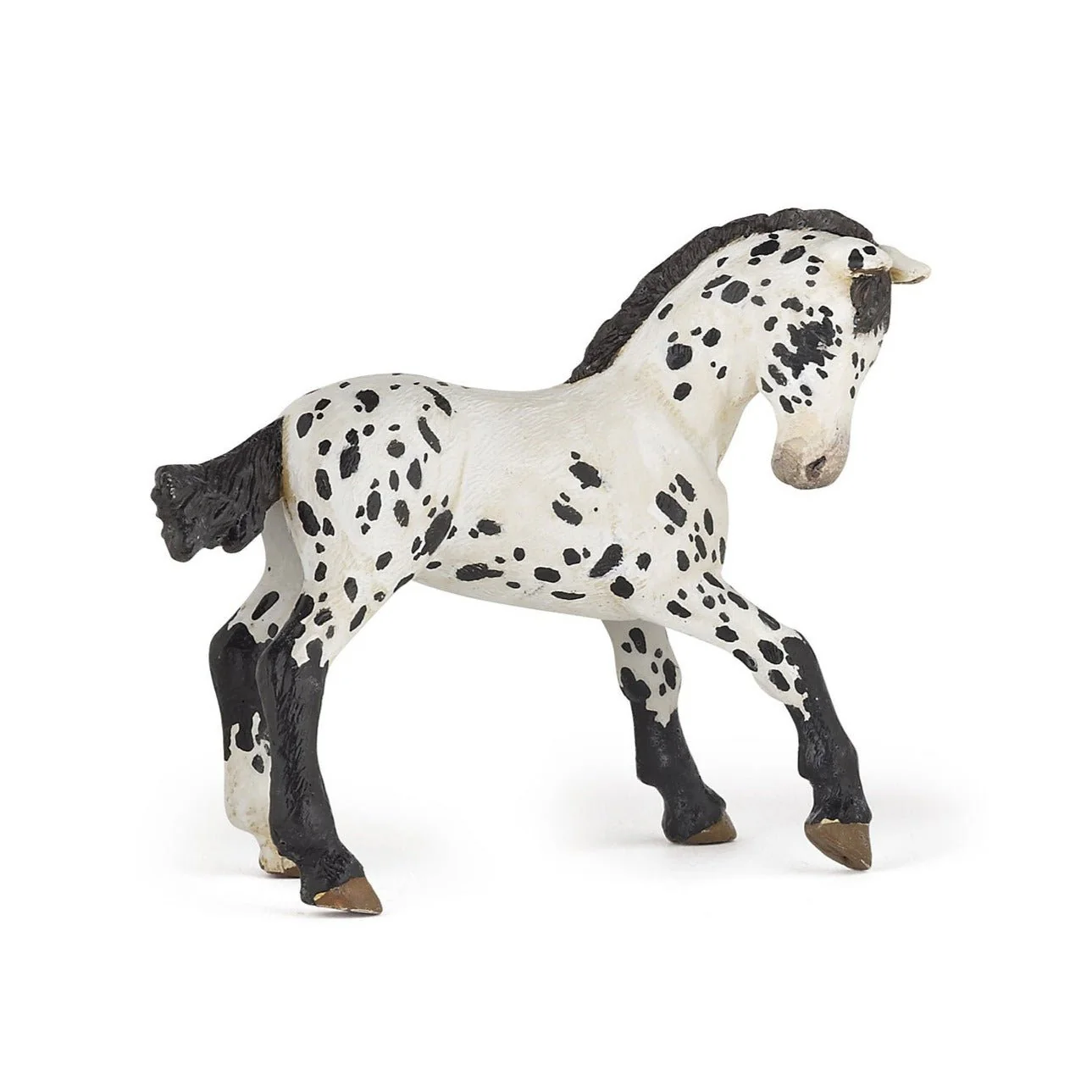 Miniatuur 1